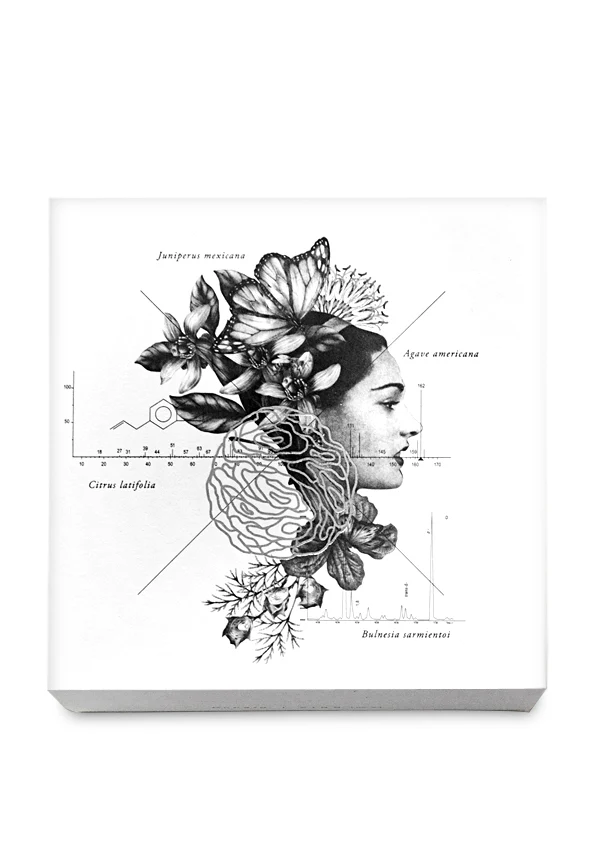 Aguamadera - Image 3