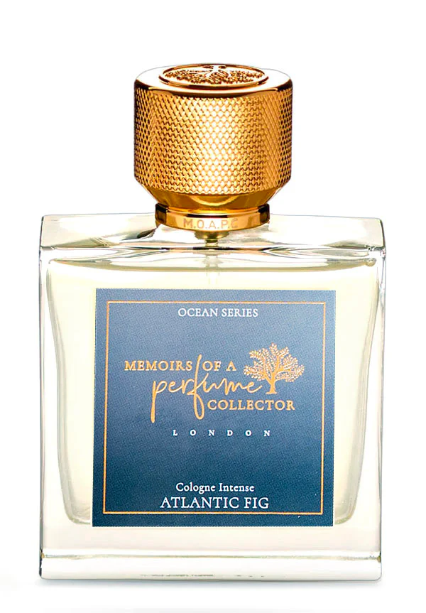 Atlantic Fig
