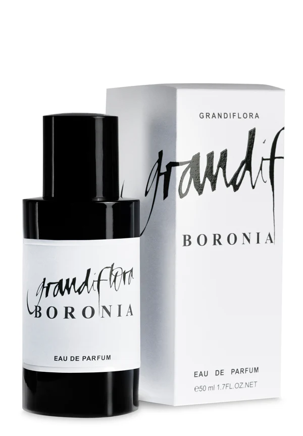 Boronia - Image 2