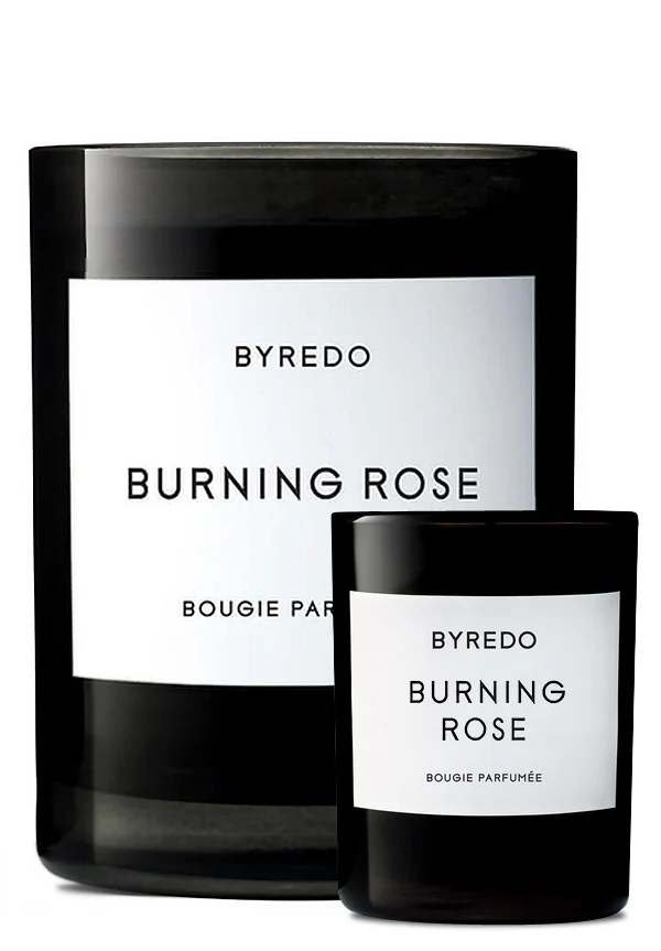 Burning Rose