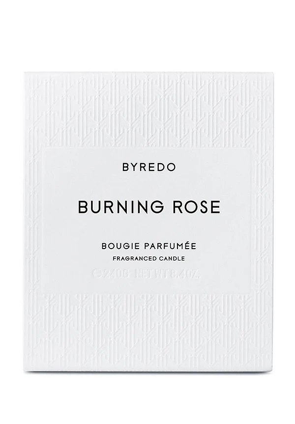 Burning Rose - Image 2