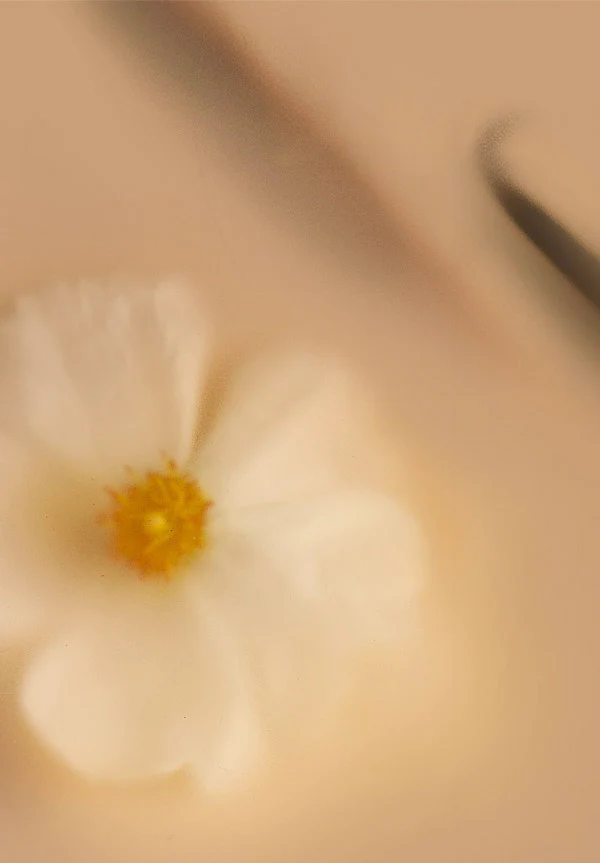 Chai Fleur - Image 3