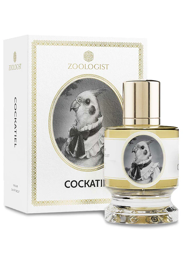 Cockatiel - Image 2