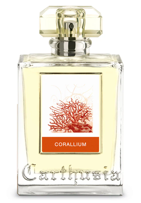 Corallium
