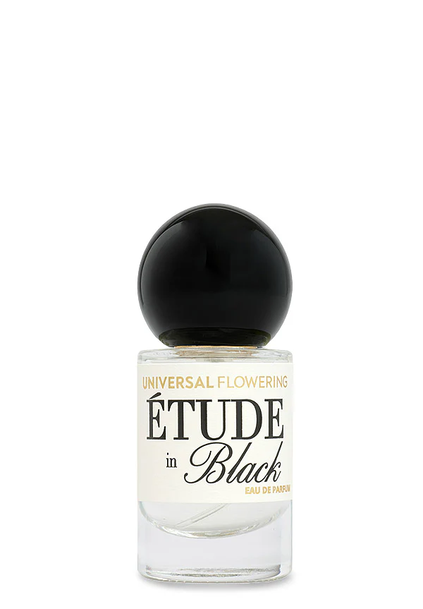 Etude in Black - Image 2