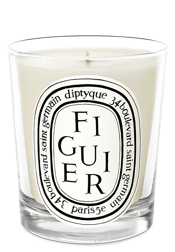 Figuier candle