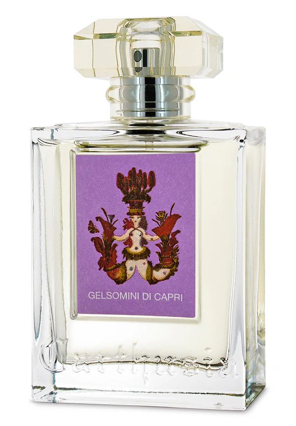 Gelsomini di Capri