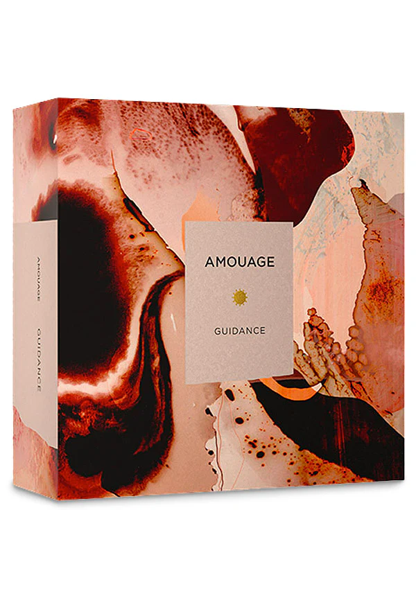 Guidance - Image 3