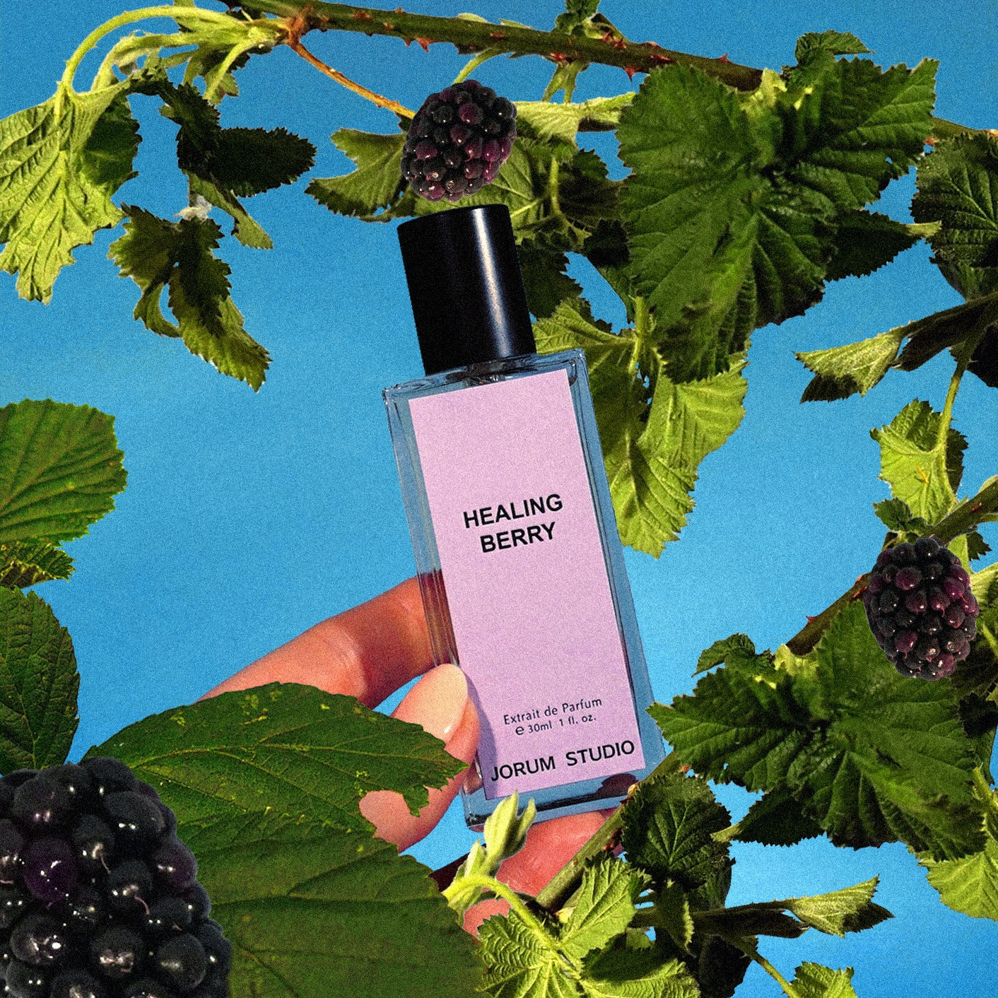 Healing Berry - Image 2