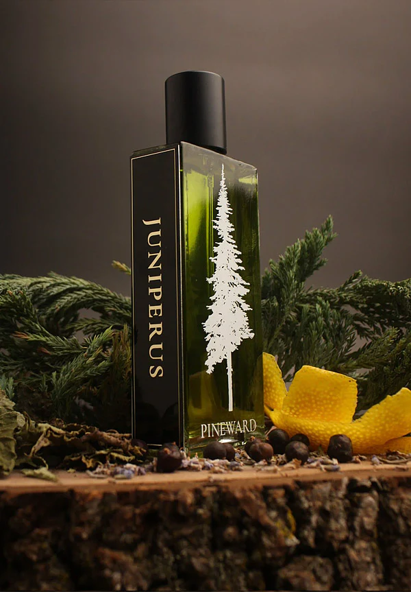 Juniperus - Image 2