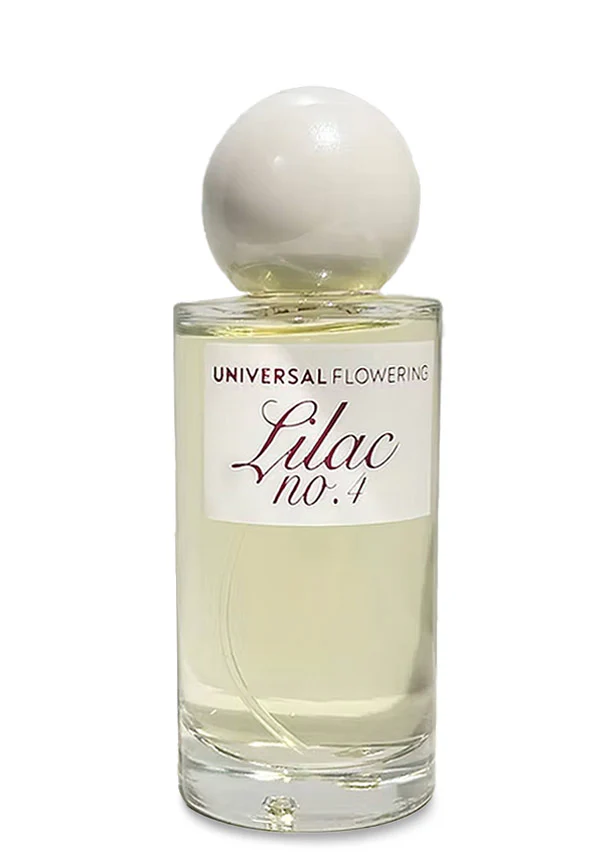 Lilac no.4