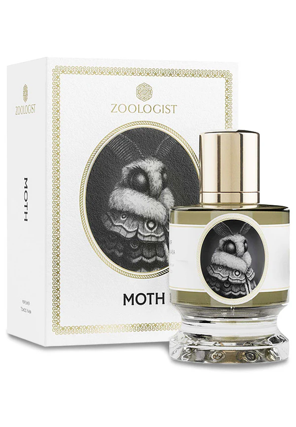 Moth - Image 2