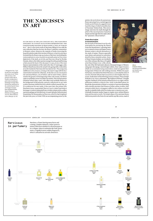 Narcissus in Perfumery - Image 4