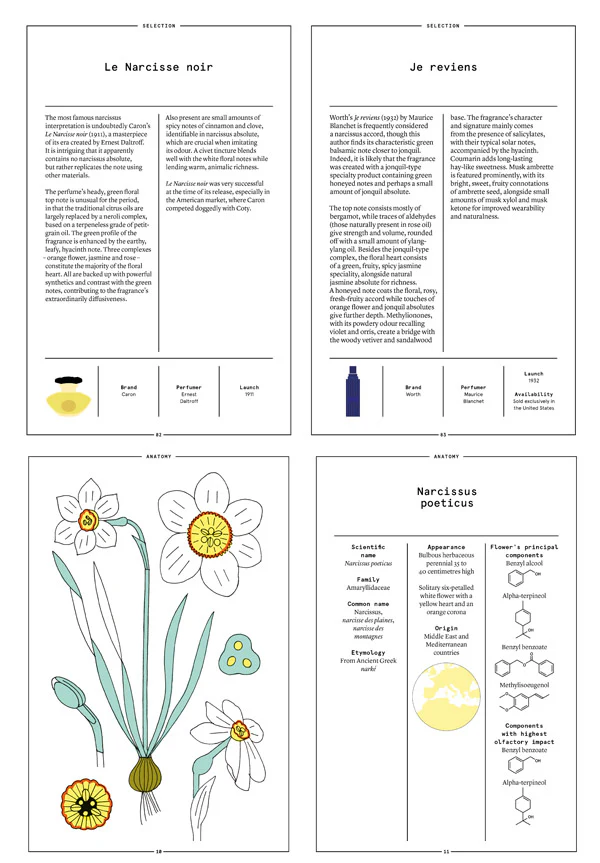 Narcissus in Perfumery - Image 5