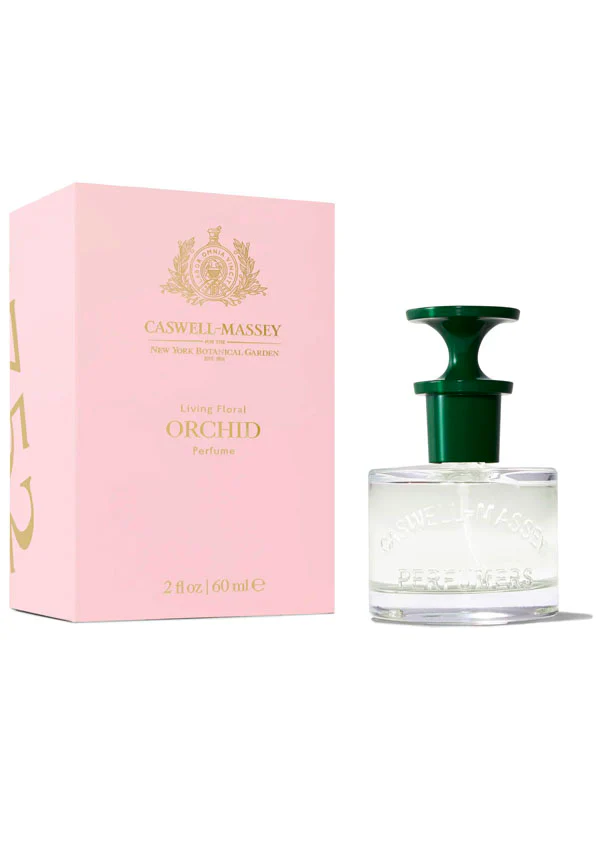 Orchid - Image 3