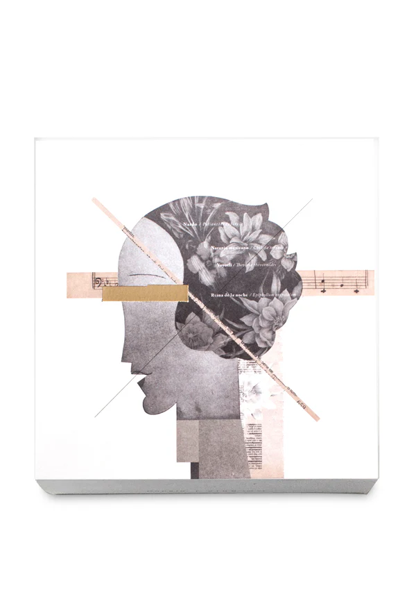 OroNardo - Image 3