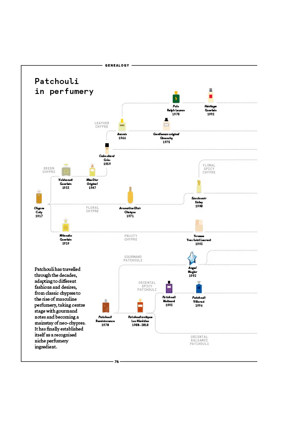 Patchouli in Perfumery - Image 4