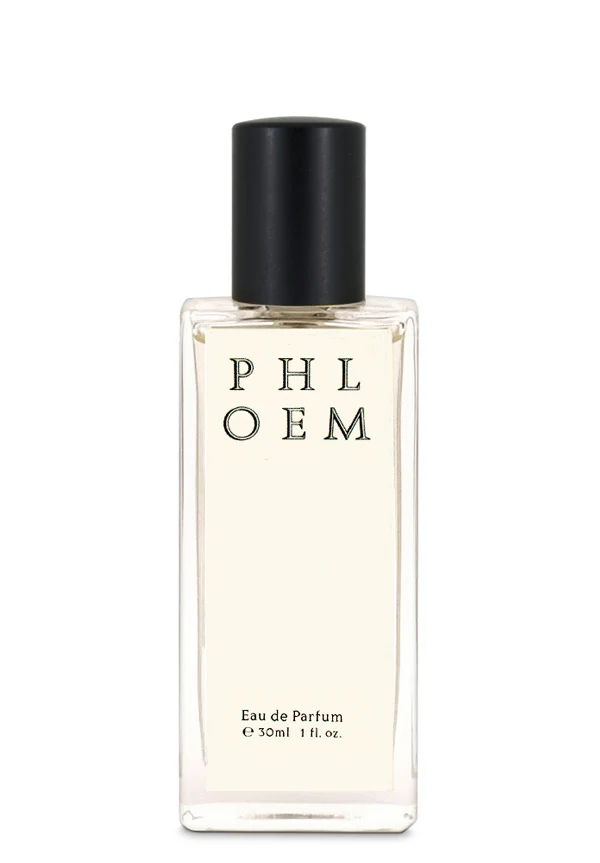 Phloem