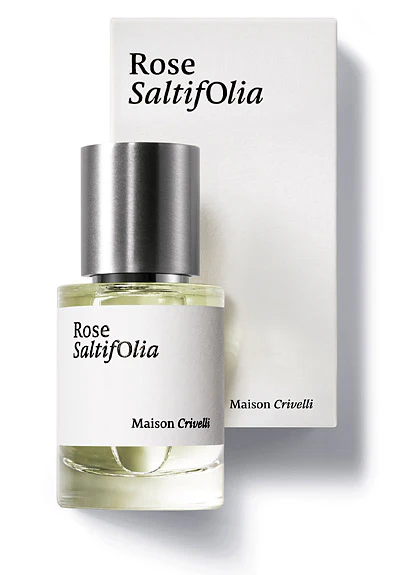 Rose Saltifolia - Image 2