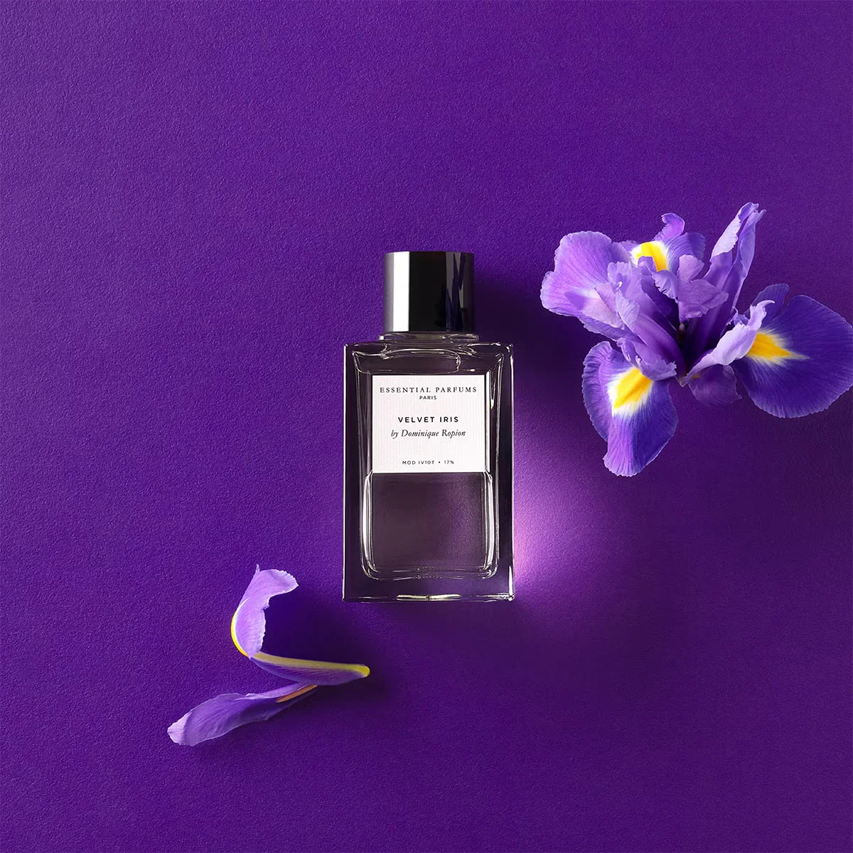 Velvet Iris - Image 5