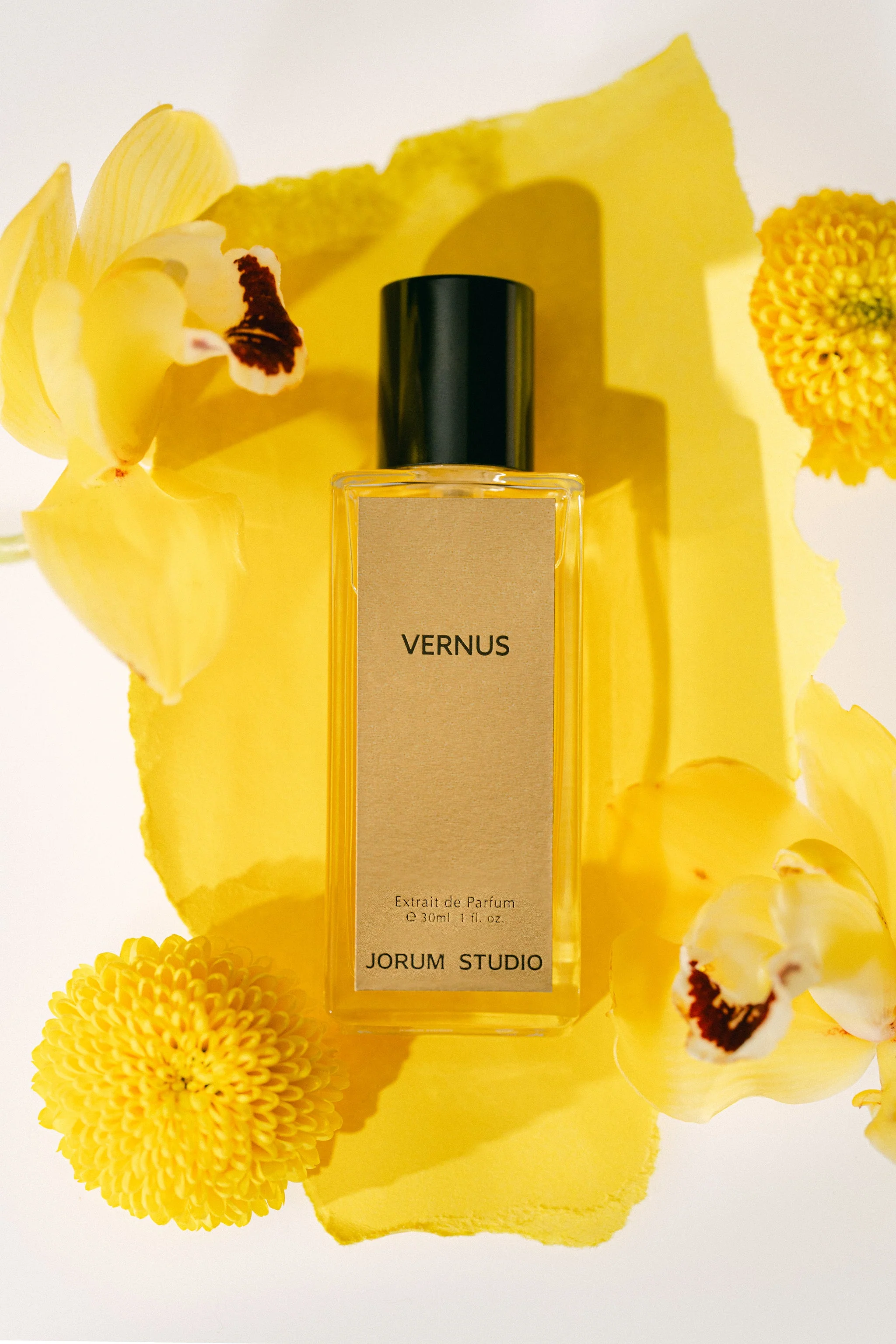 Vernus - Image 2
